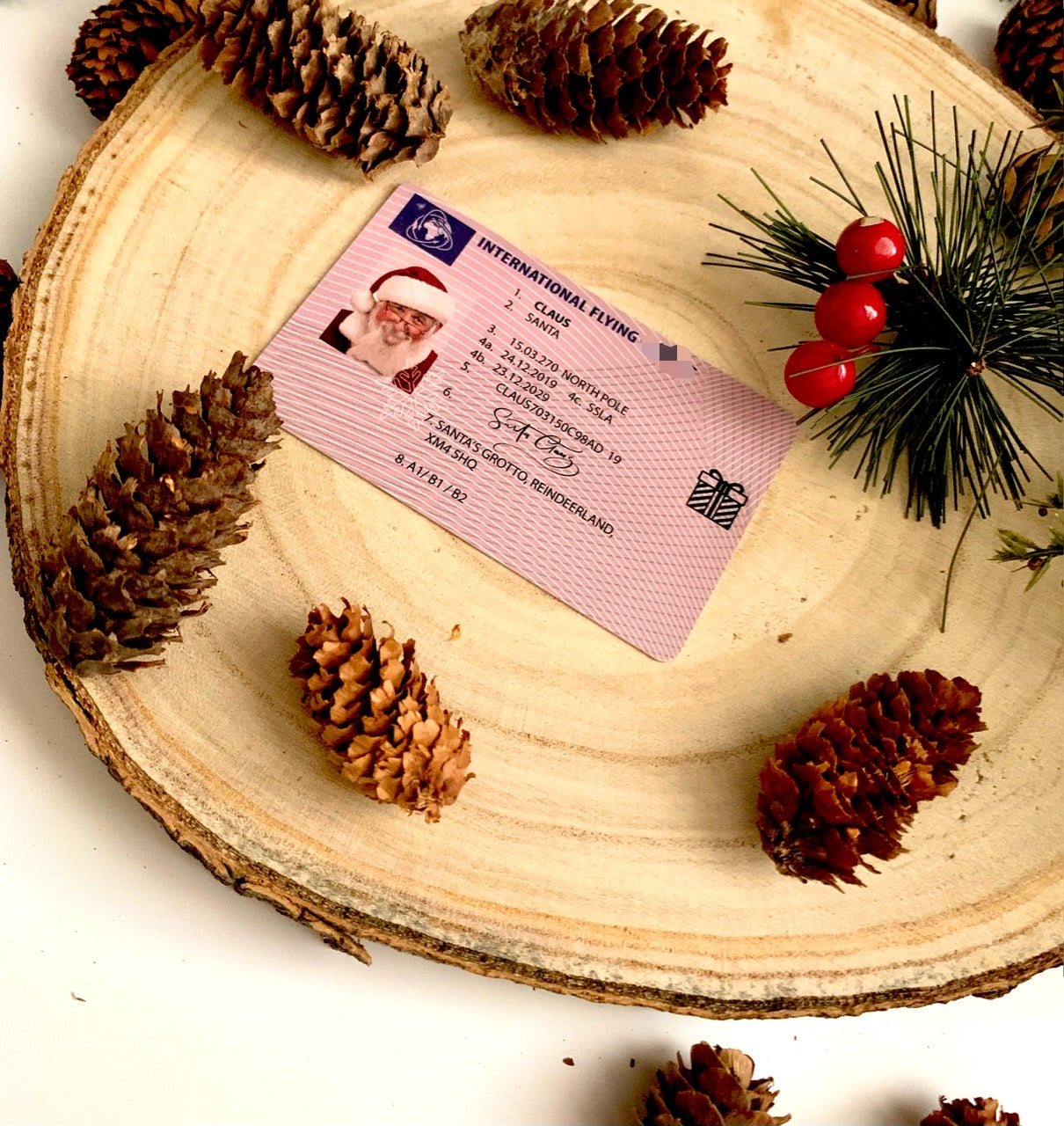 Santa Driving License